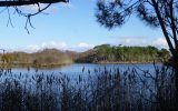 Marais de Mousterlin 4