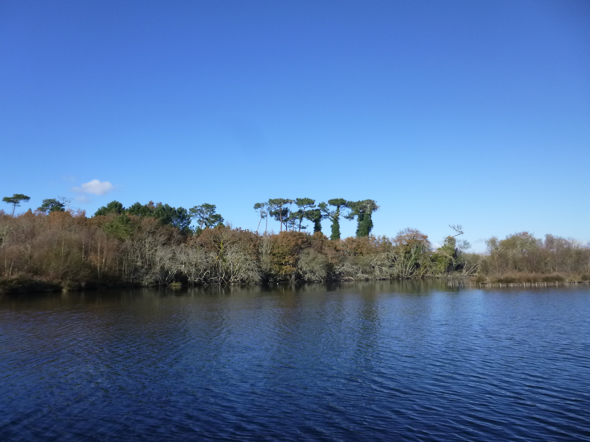 Marais de Mousterlin 1