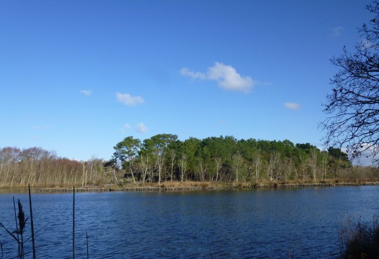 Marais de Mousterlin 3